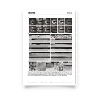 Articles scientifiques
