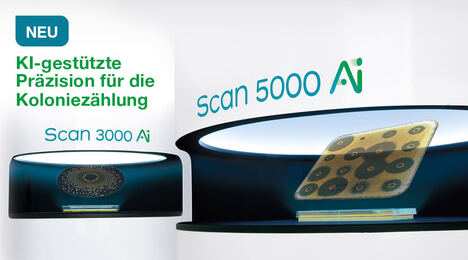 Entdecken Sie Scan Ai