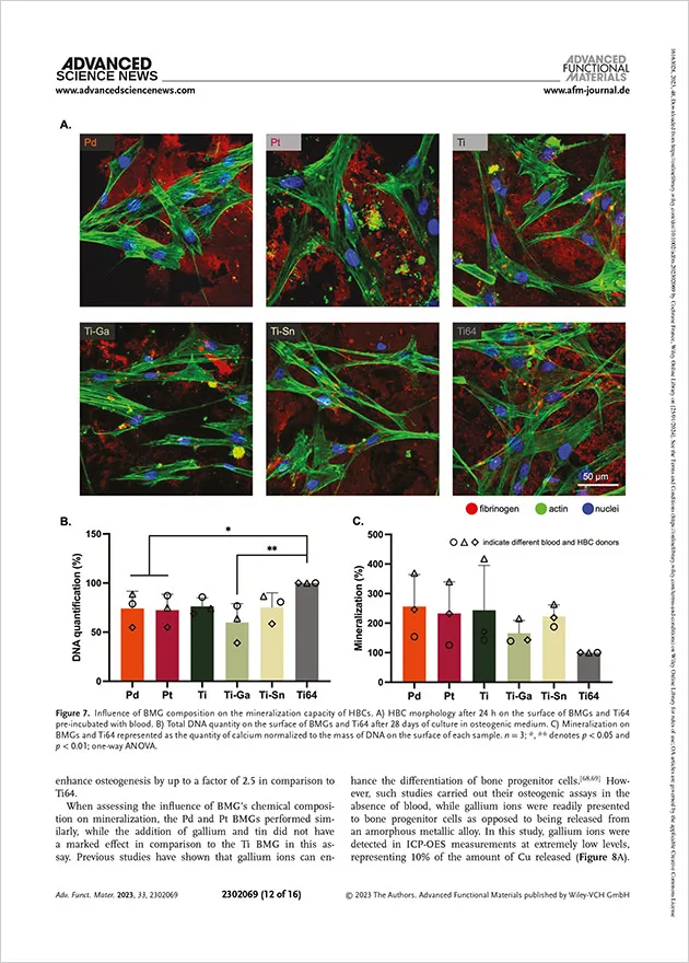 Surface Chemistry Dictates the Osteogenic and Antimicrobial Properties of Palladium‐, Platinum‐, and Titanium‐Based Bulk Metallic Glasses